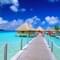 1592230416 865179.jpg?w=60&h=60&dpr=1